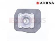 TESTA DIO/GEO D.47,6 im/                          