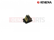 Intake Reed Valves