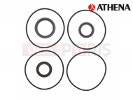 CRANK SEALS JOHNSON                               