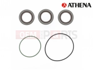 CRANK SEALS MERCURY                               