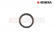 Seal starter crank shaft