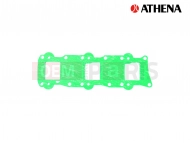REED BLOCK GASKET                                 