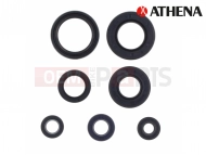 Oil seals kit